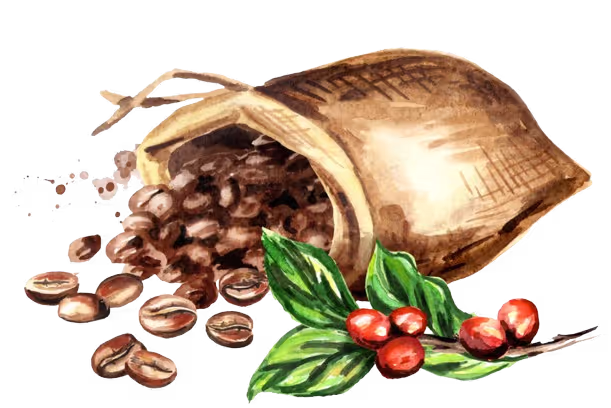 Tress Kaffee, Kaffeebohnen, die aus einem Sack quellen, und ein Zweig einer Kaffeebohnenpflanze 